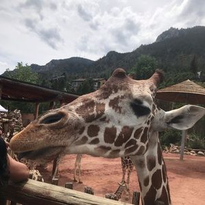 Meet your Posher, Lena